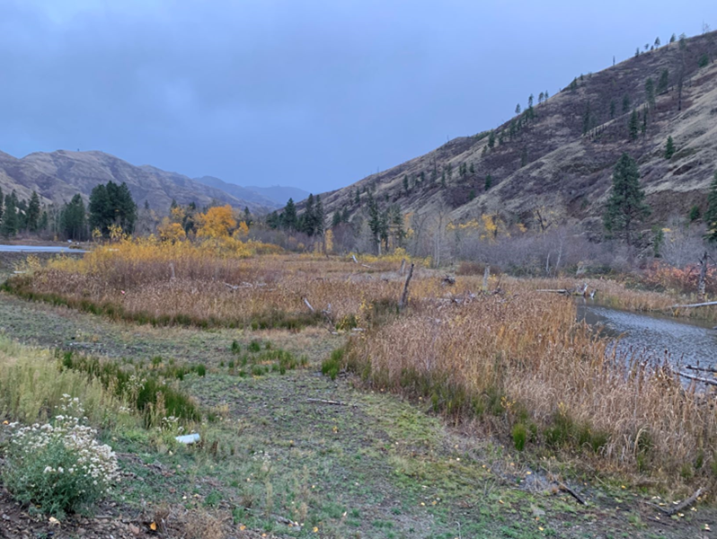 Rainbow Lake Wetlands in 2019