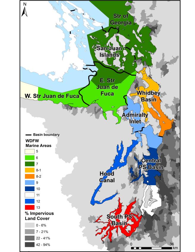 Adult Chinook sampling map