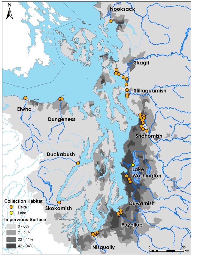 Map of juvenile Chinook sampling locations