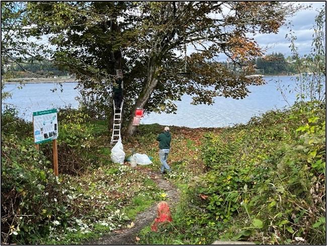 A person putting trash in white trash bags at Ross Point. 