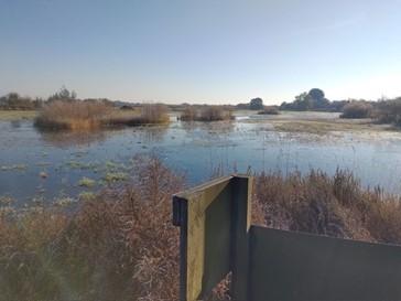 The view from an ADA waterfowl blind looking over a wetland. 