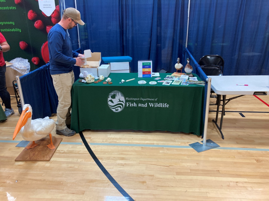 A person unpacking at a Fish and Wildlife booth at the Career Showcase.
