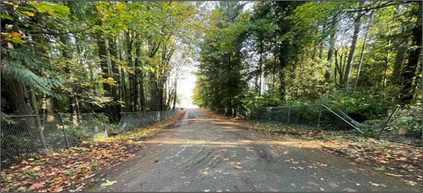 The road to Hicks Lake after the downed tree was removed.  