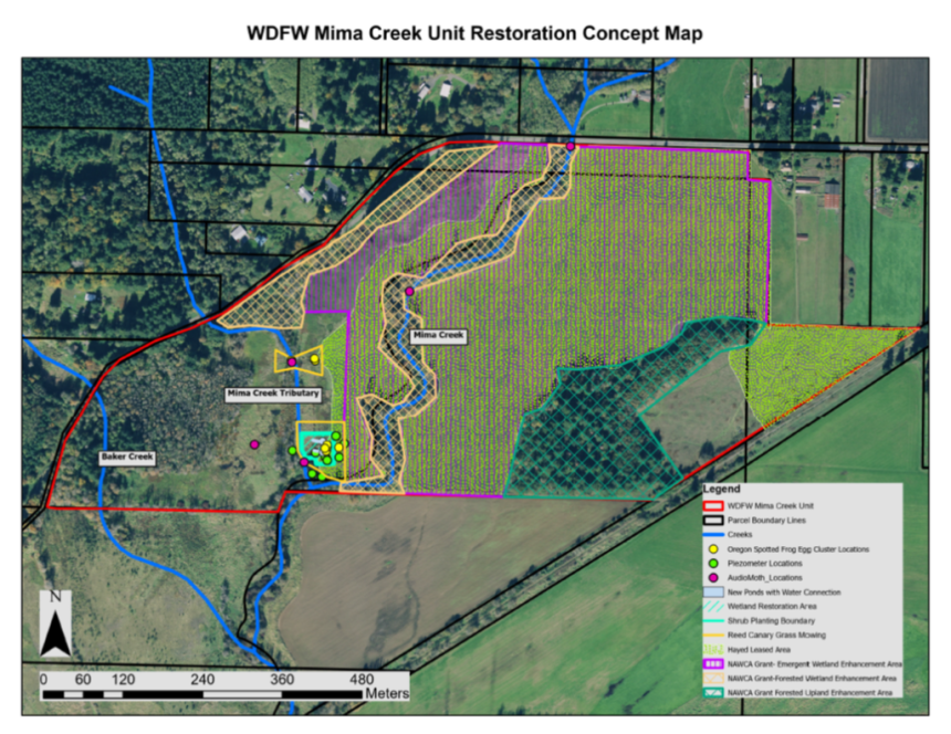 Mima Creek Unit of the Scatter Creek Wildlife Area concept plan.