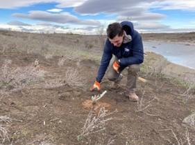 District 4 Assistant Biologist Hoffman planting sagebrush.