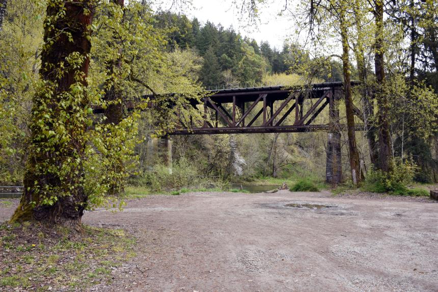 Handicap Hole Water Access Area along the Nisqually River