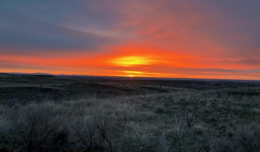 Another gorgeous sunrise in Douglas County during sage grouse lek searches. 