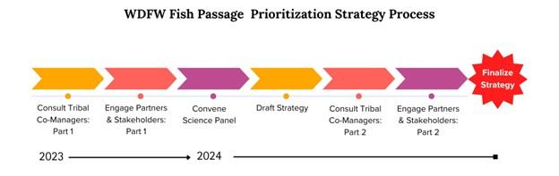 2023-24 timeline: consulting tribes, engaging stakeholders, convening science panel, and developing final strategies.