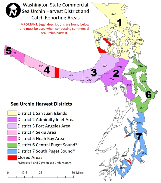 Sea urchin harvest districts