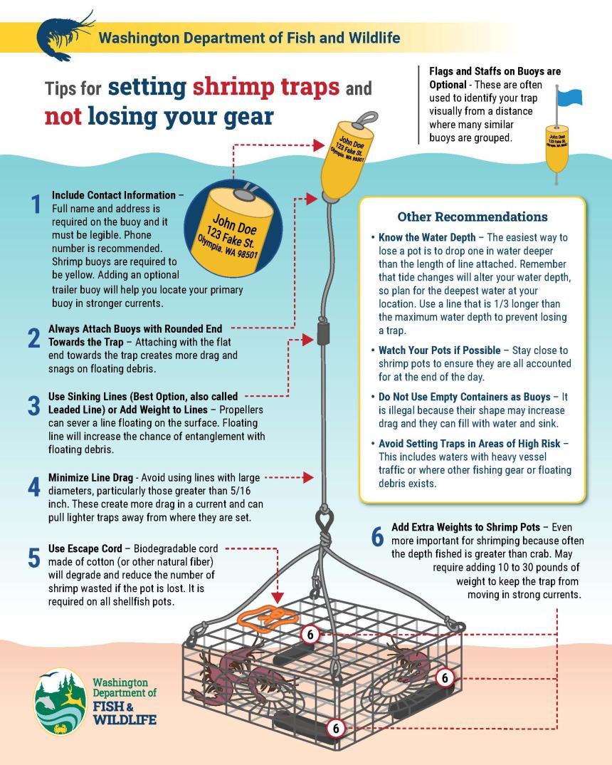 WDFW Shrimp Traps diagram