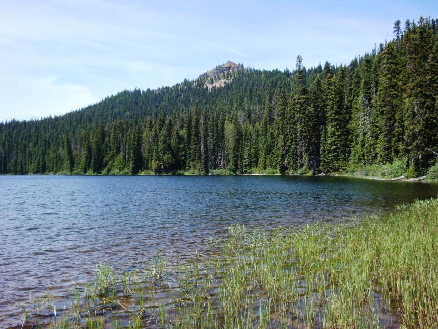 Swamp Lake | Washington Department of Fish & Wildlife