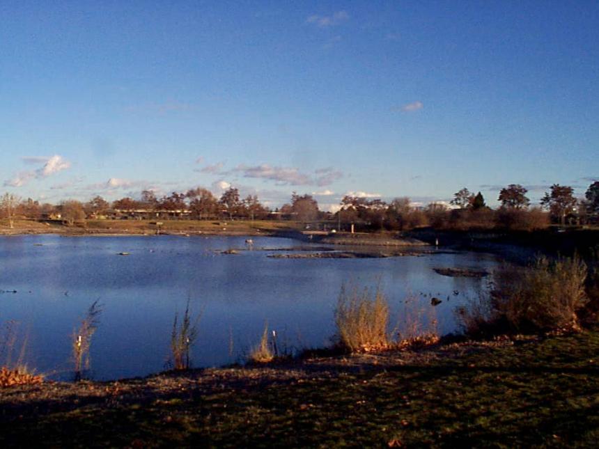 Columbia Park Pond