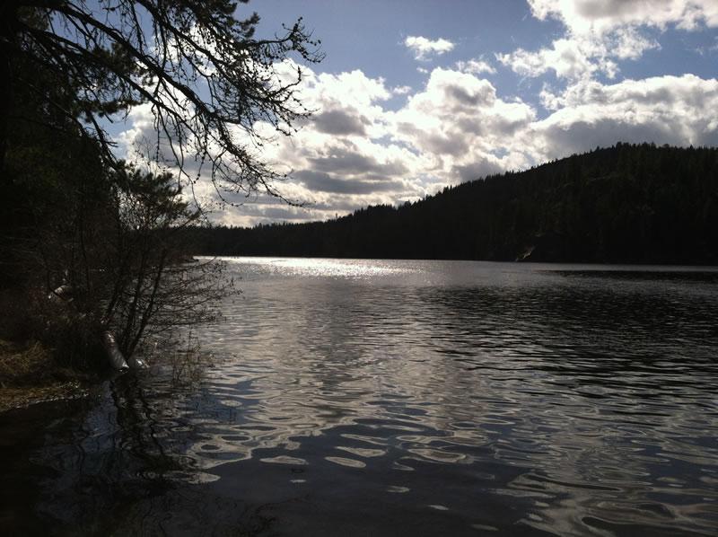 Davis Lake