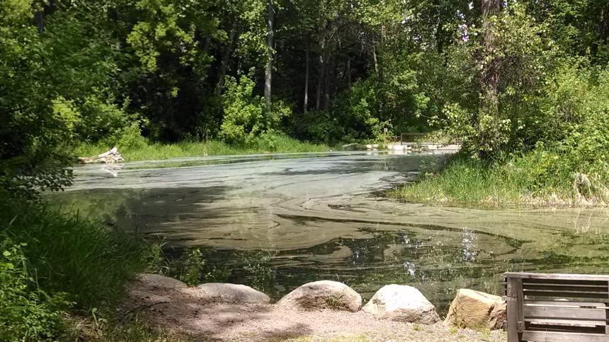 Blackbird Island Pond