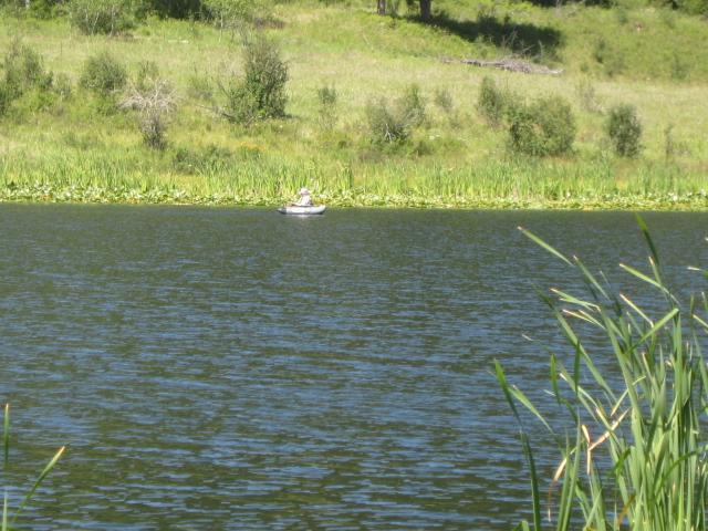 Buzzard Lake