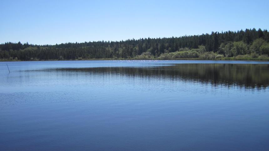 Hummel Lake