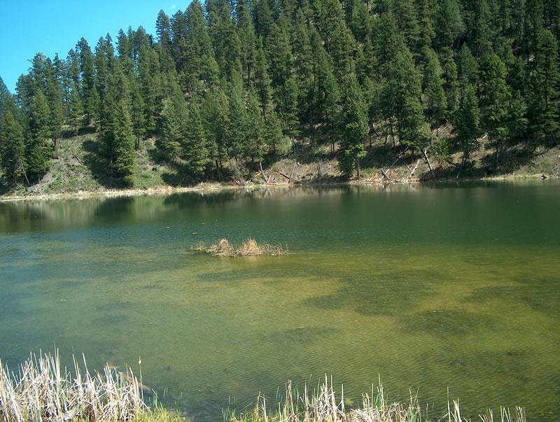 Little Beaver Lake