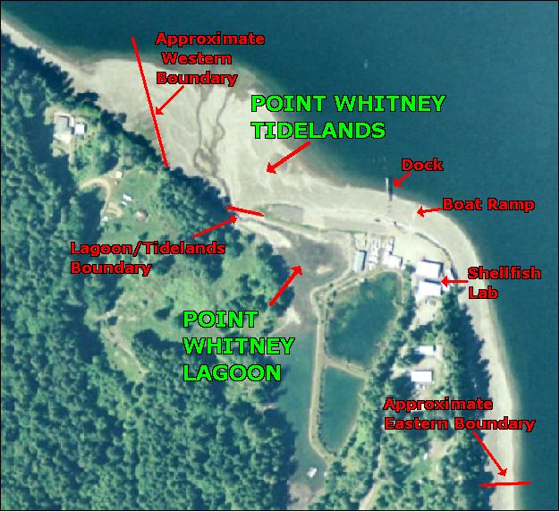 POINT WHITNEY TIDELANDS AND POINT WHITNEY LAGOON map