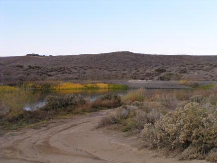 Lind Coulee Island Site