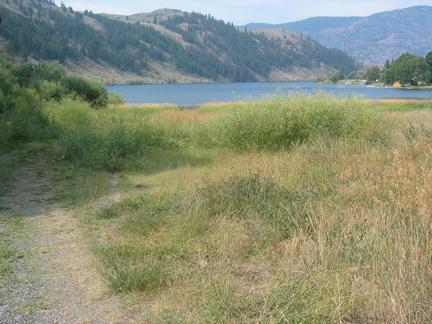 Spectacle Lake #1