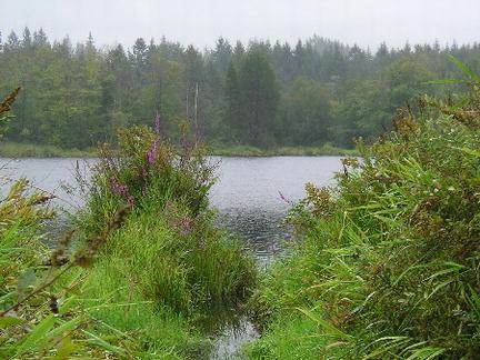 Bryant Lake