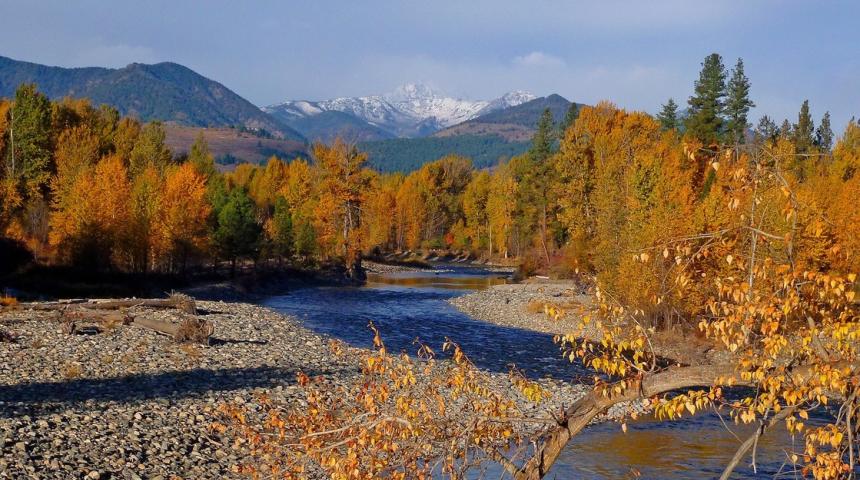 scenic river with fall colors