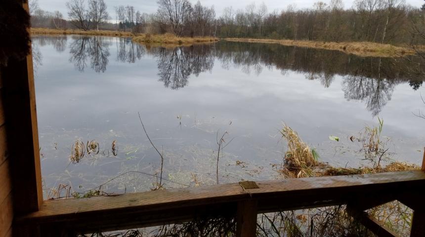 View of the lake from inside the hunting blind