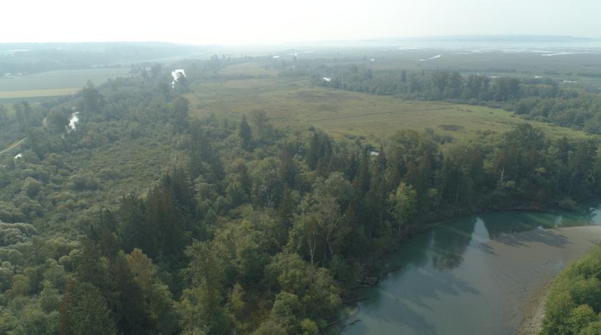 Aerial view of Milltown Island from the north. 