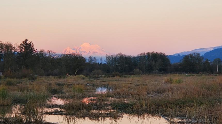 View from Wiley Slough