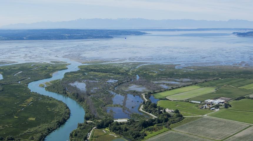 View of Wiley Slough from above 