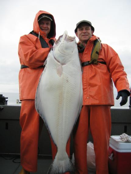 Two fishermen wearing orange water proof suits holding a very large halibut.