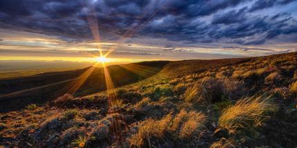 Sunbeams streaking through the sky and dark clouds over shrubsteppe.