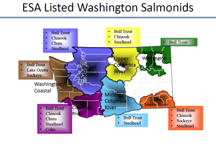ESA-listed salmonids in Washington