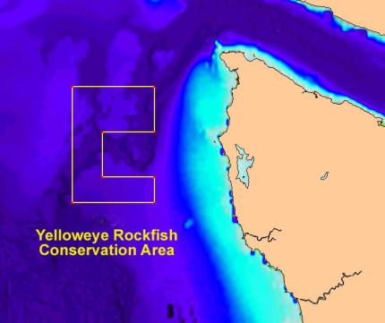 Yelloweye rockfish conservation area