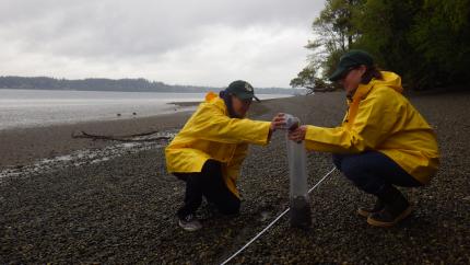 Two researchers conducting a beach survey.