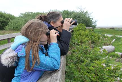 Two people view wildlife at Grays Harbor Shorebird Festival