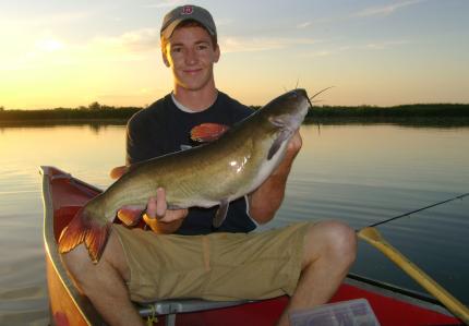 Channel catfish | Washington Department of Fish & Wildlife