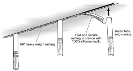 One-way tubes should be at least 2-inches in diameter, 10 inches in length, and have a smooth interior so bats are unable to cling to the inside.