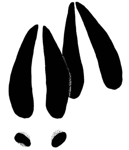 A drawing of deer foot prints shows differences between front and back hooves.