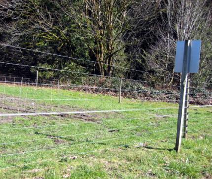 Photo of an elk-proof fence