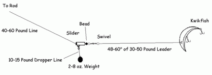 Diagram showing how a kwikfish rig is put together with a bead and slider