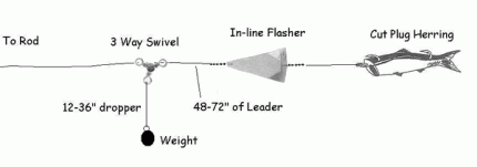 trolling rod setup