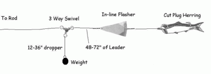 Diagram showing how to set up an in-line rotating flasher with a cut plug herring