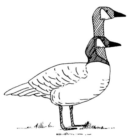 A goose head pumps up and down. 