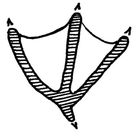 A drawing depicts a goose track. 