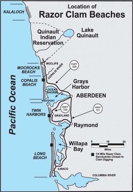 Washington Coast Tide Chart