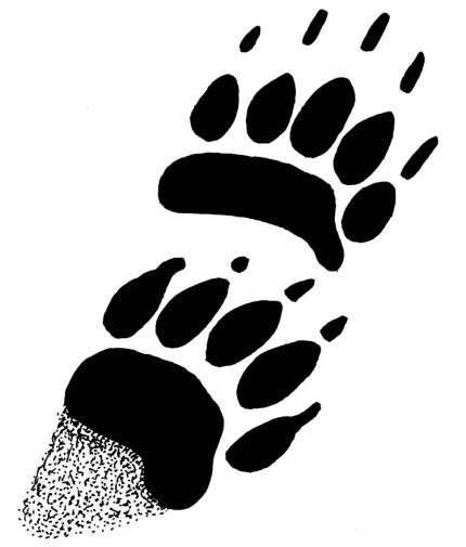 A set of front and back skunk foot tracks.