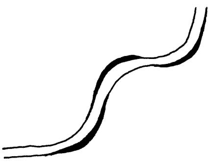 Illustration of a typical trail left by a rattlesnake