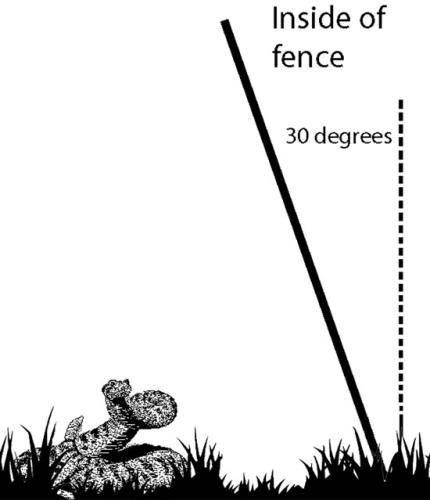 Illustration showing how a fence built at a 30 degree angle is a good way of containing snakes