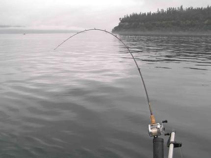 Photo showing a fishing pole on a boat deeply bent from a hooked fish